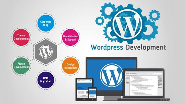 Read more about the article Work with experts in WordPress development, Ohio